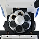 Motorized Autofocus Inverted Fluorescent Microscope