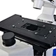 Motorized Autofocus Inverted Fluorescent Microscope