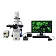 Motorized Autofocus Inverted Fluorescent Microscope